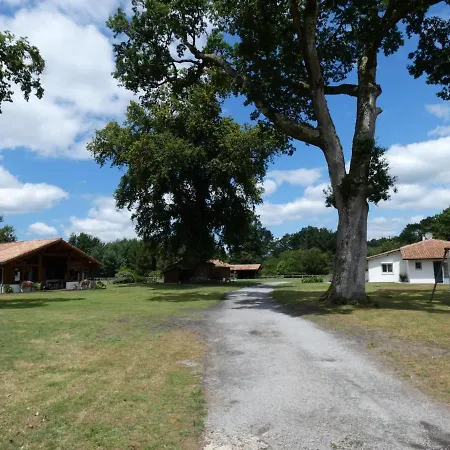 Pitton Casa vacanze